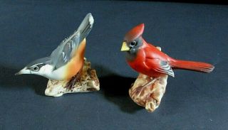 Two Vintage Italian Porcelain Capodimonte Birds,  Cardinal & Robin.