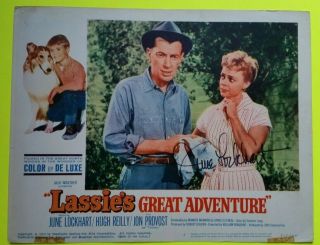 June Lockhart Signed Auto " Lassie 