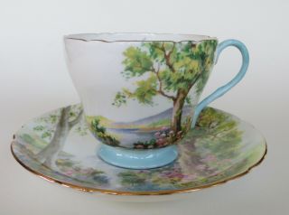 Vintage Shelley Bone China Woodland Footed Cup & Saucer 13348 England