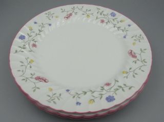 Johnson Brothers China Summer Chintz Dinner Plates - Set Of Four - 10 1/2 "