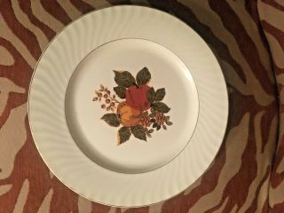 Set 8 Vintage Enoch Wedgwood English Harvest Fine China 10 " Dinner Plate