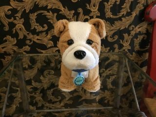 American Girl Doll Dog Meatloaf W Name Tag Collar