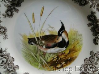 Spode Woodland Lapwing Game Bird,  England: Dinner Plate (s),  10 3/4 