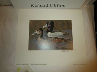 RW74 2007 US Federal Duck Stamp Print - Signed Richard Clifton 2280/10,  500 3