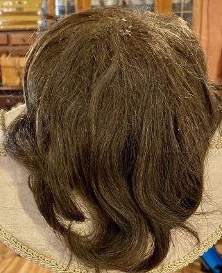 34 Antique 12 " Brunette Human Hair Doll Wig W/nice Bangs & Curls