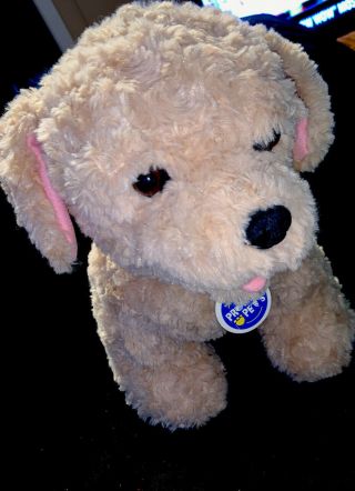 Build A Bear Promise Pet Dog Puppy Plush Golden Retriever 12” Stuffed Animal Z6