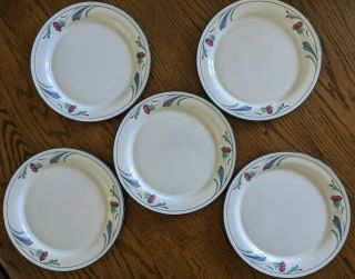 5 Lenox Poppies On Blue Chinastone Dinner Plates - 10.  75 "