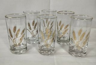 Set Of 6 Vintage Homer Laughlin Golden Wheat 12 Oz Highball Tumbler Glasses