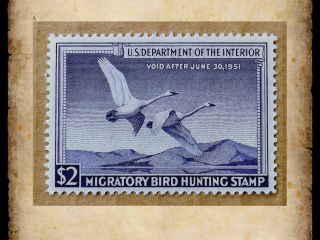 Us Federal Duck Stamp Scott Rw17 $2 1950 Migratory Bird Hunting Mnh Og