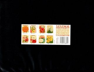 Us Scott 4754 - 63,  50c Forever Stamp Vintage Seeds Sheet Of 20 Mnh Og