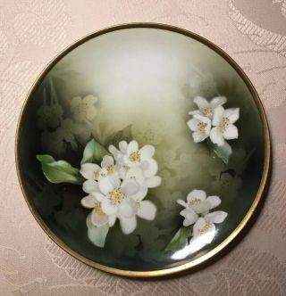 Rs Prussia Red Mark Porcelain Plate Royal Stralsund White Flowers