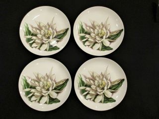 Set Of 4 Vintage Santa Anita Ware " Night - Blooming Cereus " 10” Dinner Plates
