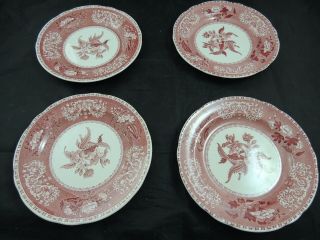 Spode Camilla Pink/red Salad Plate Set Of 4 7 1/2 "