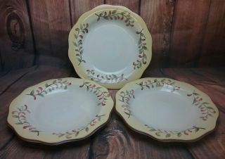 Tusan Retreat Better Homes And Gardens 3 Dinner Plates