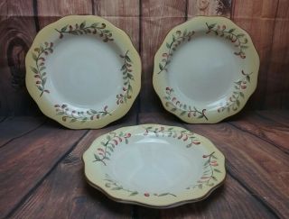 Tusan retreat better homes and gardens 3 dinner plates 3