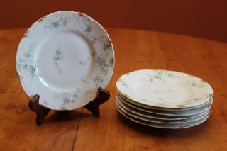 Theo.  Haviland Limoges Set Of Seven 6.  25 " Dia.  Bread Plates With Blue Flowers