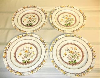 Set Of 4 Spode Dinner Plates - 10.  5 " - Buttercup Pattern