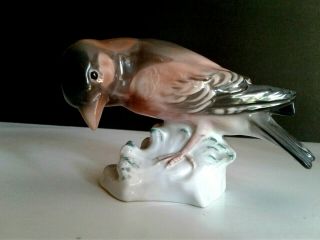 Karl Ens Volkstedt Bird Figurine.  7 " X 4 ".  Vintage Rare 1930 