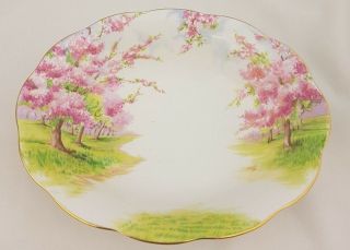 Oval Open Vegetable Bowl By Royal Albert In Blossom Time Pattern 9 1/8 " X 7.  5 "
