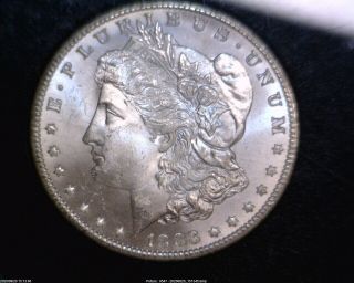 1883 - Cc Morgan Silver Dollar In Gsa Graded By Ngc In Ms65