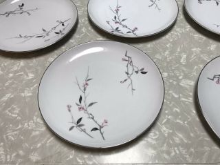 5 Dinner Plates Cherry Blossom by Fine China of Japan Pattern 1067 3