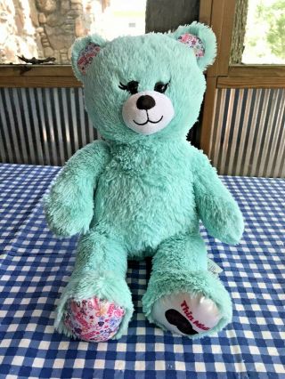 Build A Bear Thin Mints With Green Plush Bear Girl Scout Cookies 16 " Tall