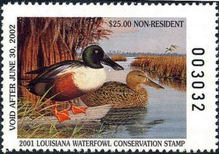 Louisiana 13a Non - Res 2001 State Duck Stamp Northern Shoveler By Murrell Butler