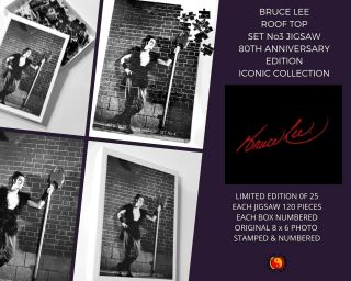 Bruce Lee Limited Edition Jigsaw " The Warrior " 1/25