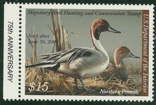 Rw 75 2008 $15 " Northern Pintails " 75th Anniversary Issue - Og/nh -