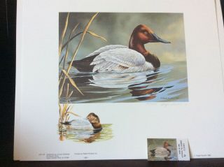 In Folio 1982 Maryland Duck Stamp & Print Color Rem