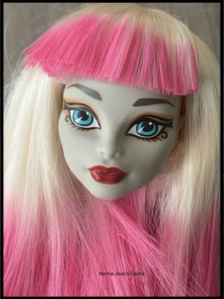 Monster High Doll Create A Monster Cam Replacement Mummy Head With Wig