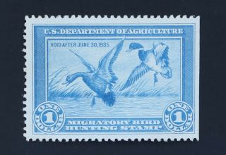 1934 Federal Duck Stamp $1 Mallards Scott Rw1 Unsigned No Gum
