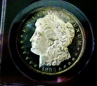 Morgan Silver Dollar 1883 O Anacs Ms 63 Cameo Dmpl Under Grade Monster Mirrors