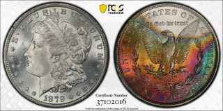 1879 - S Pcgs Ms - 65 Morgan Silver Dollar.  Monster Rainbow Toning.