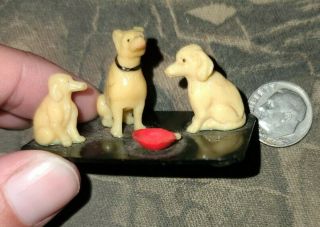 3 Dogs And Bowl,  Dollhouse Miniatures Accessories