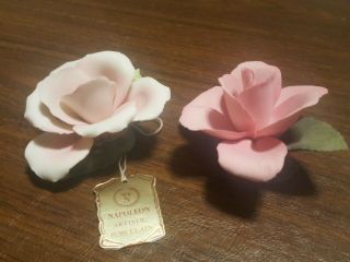 Napoleon Porcelain Pink/white Rose Flower.  Made In Italy.