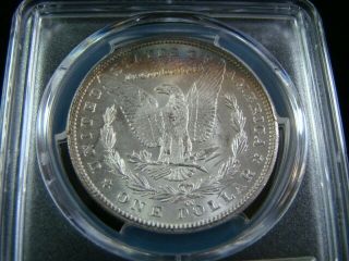 1883 - CC Morgan Silver Dollar PCGS Graded MS64 40250112 3