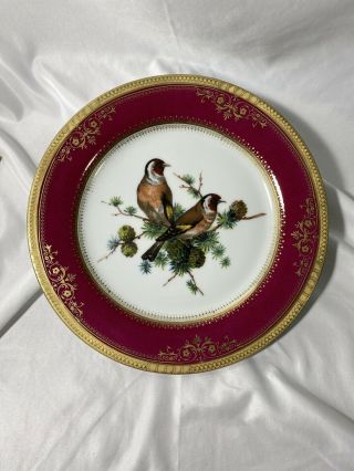 Limoges Bird Plate Red And Gold 10.  5”