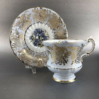 Paragon Powder Blue Bone China Teacup & Saucer England Gold Floral Tea Cup