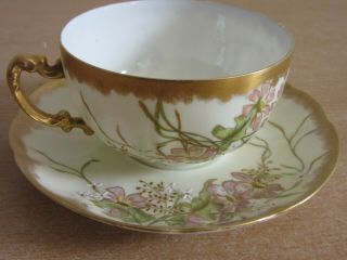 Fancy Antique Haviland Limoges,  France Porcelain Tea Cup & Saucer Set - Floral S