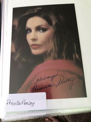 Priscilla Presley Hand Signed Autographed Photo (elvis Presley) Color