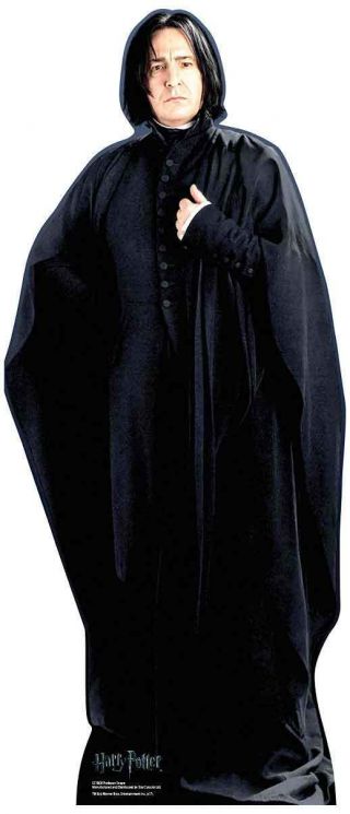 Professor Snape From Harry Potter Mini Cardboard Cutout / Standup - Rickman