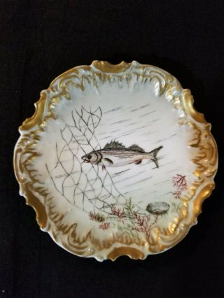 Limoges Hand Painted 8 Plate W/ Fish,  Shells And Seaweed