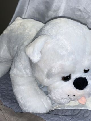 Babw Build A Bear 14 " White English Bulldog Plush Puppy Dog Stuffed Animal X6
