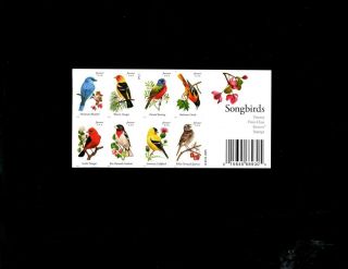 Us Forever Sheet Scott 4882,  55c Stamp Song Birds Sheet Of 20 Mnh Og