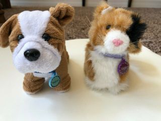 American Girl Doll Dog,  Meatloaf And Ginger The Cat - Clothing And Accessories