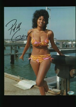 Pam Grier " Foxy Brown " Hand Signed 8x10 Autographed Photo With