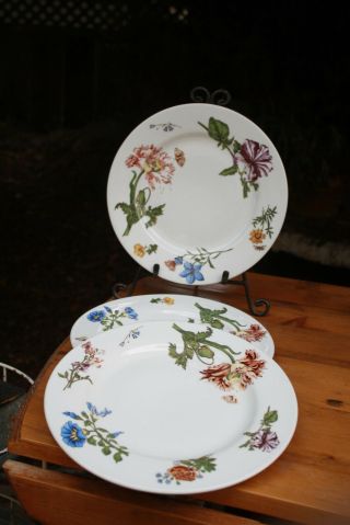 3 Bia Cordon Bleu " Caroline " Dinner Plates Flowers 10.  5” Ceramic
