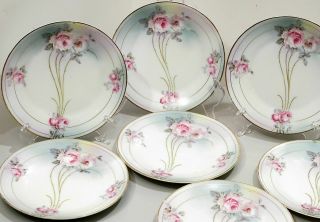Set 10 Victorian Austria Porcelain Handpainted Plates Pink Rose Gold Trim No.  222