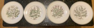 Set Of 4 Johnson Brothers Tiffany And Co Herbs Plates
